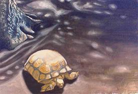 Dibujo de tortuga en la arena