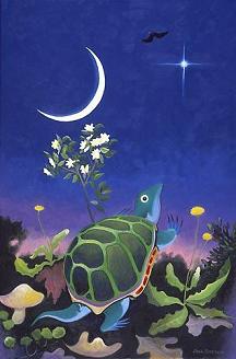 Dibujo de tortuga en la noche